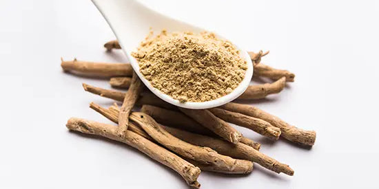 Ashwagandha (Withania somnifera): The ancient adaptogen that modern science cannot stop talking about