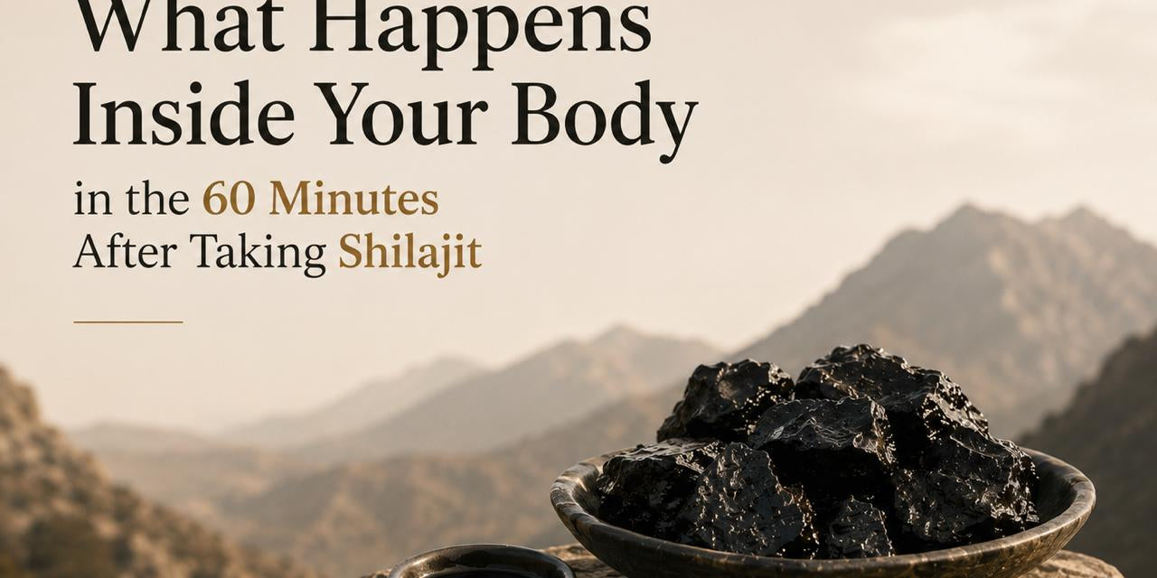 What happens inside your body in the 60 minutes after taking shilajit
