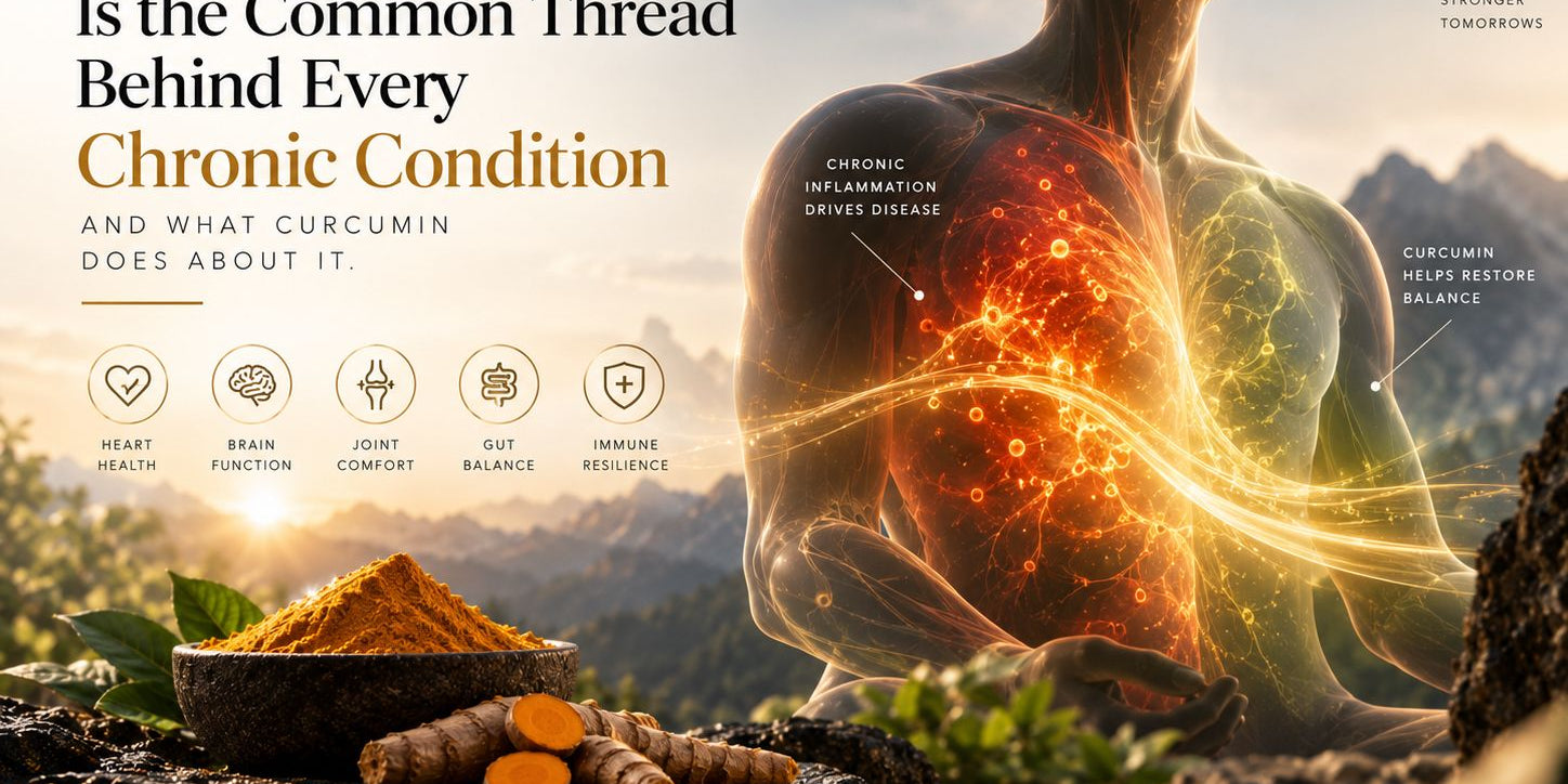 Why inflammation is the common thread behind every chronic condition and what curcumin does about it