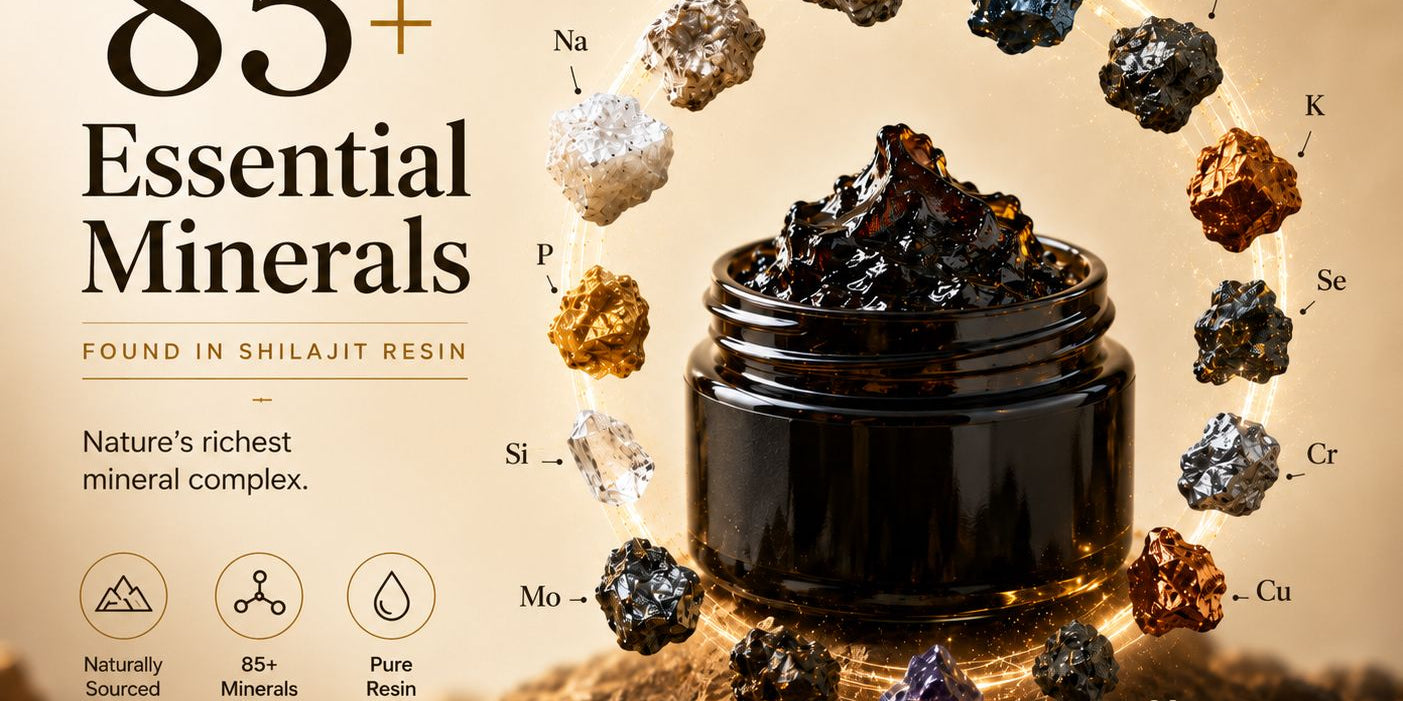 Shilajit and the 85+ trace minerals: what they actually do inside your body
