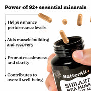 BetterAlt Everyday Balance Capsules