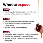 Shilajit Pro Energy Sticks
