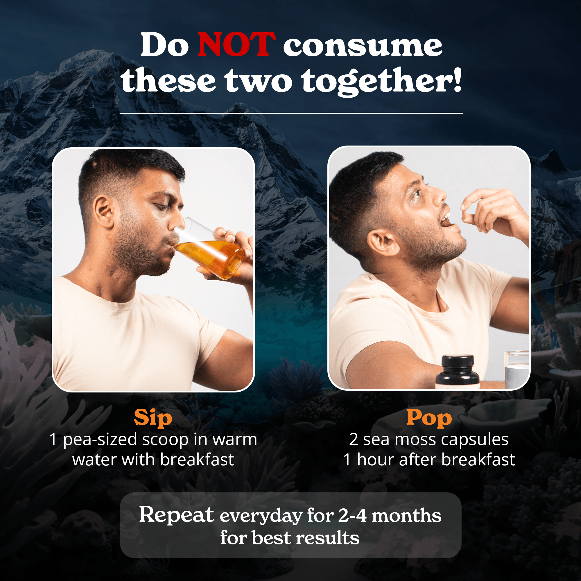 BetterAlt Ultimate Energy Duo | Shilajit Resin & Sea Moss Capsules