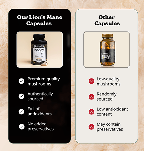 BLMMCE120-US - Lion's Mane Mushroom Capsules