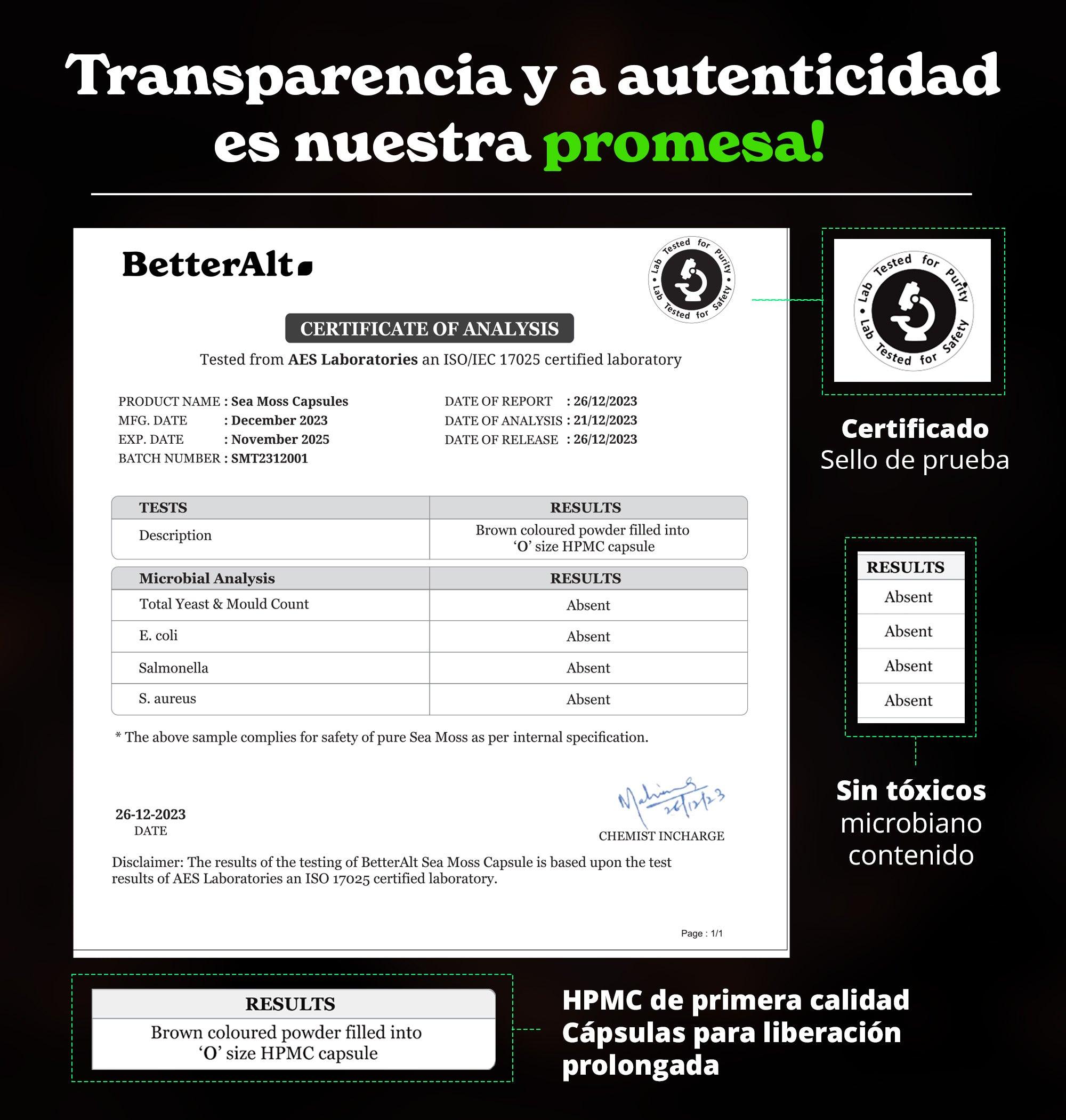 GPHSGTF60-US
GPHSGTF60X2-US
GPHSMF60-US
GPHSMF60X2-US