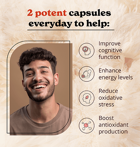 BLMMCE120-US - Lion's Mane Mushroom Capsules