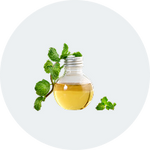  Spearmint Oil