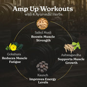 HSGPASMS30-US HSGPASMS30X2-US