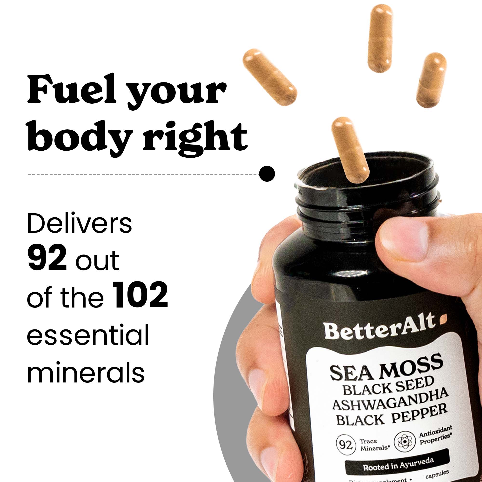 SM120-US - Irish Sea Moss Capsules